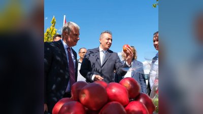 Vali Çiçek ve Vali Akın, Avrupa'nın En Büyük Elma Bahçesinde İnceleme Yaptı