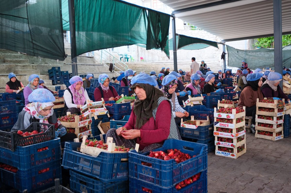 Ermenek Güneyyurt Kapalı Ürün İşleme ve Pazar Yeri Açıldı