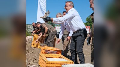 Karaman'da 800 Kınalı Keklik Doğaya Salındı: Ekolojik Dengeye Katkı