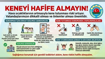 Karaman Ziraat Odası'ndan Kene Uyarısı: 'Hafife Almayın!'