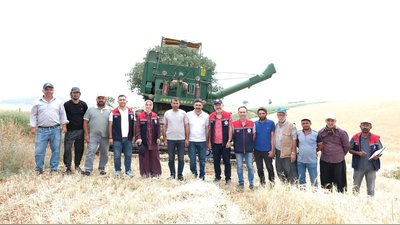 Karaman'da Hububat Hasadına Yakın Takip: Üreticilere Kayıp Uyarısı
