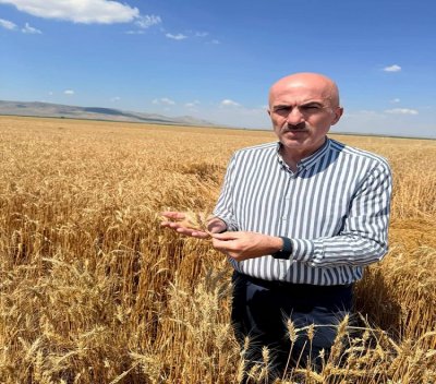 Karaman Ziraat Odası Başkanı Bayram'dan Buğday Hasadı İçin Kritik Rutubet Uyarısı