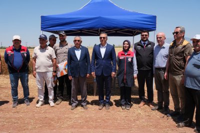 Karaman'da Buğday Hasadı Başladı: Vali Çiçek Tarlalarda