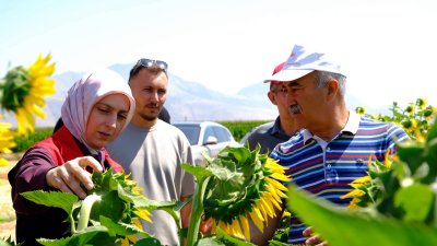 Karaman'da Tohumluk Üretim Alanları Denetlendi: Verimlilik Vurgusu